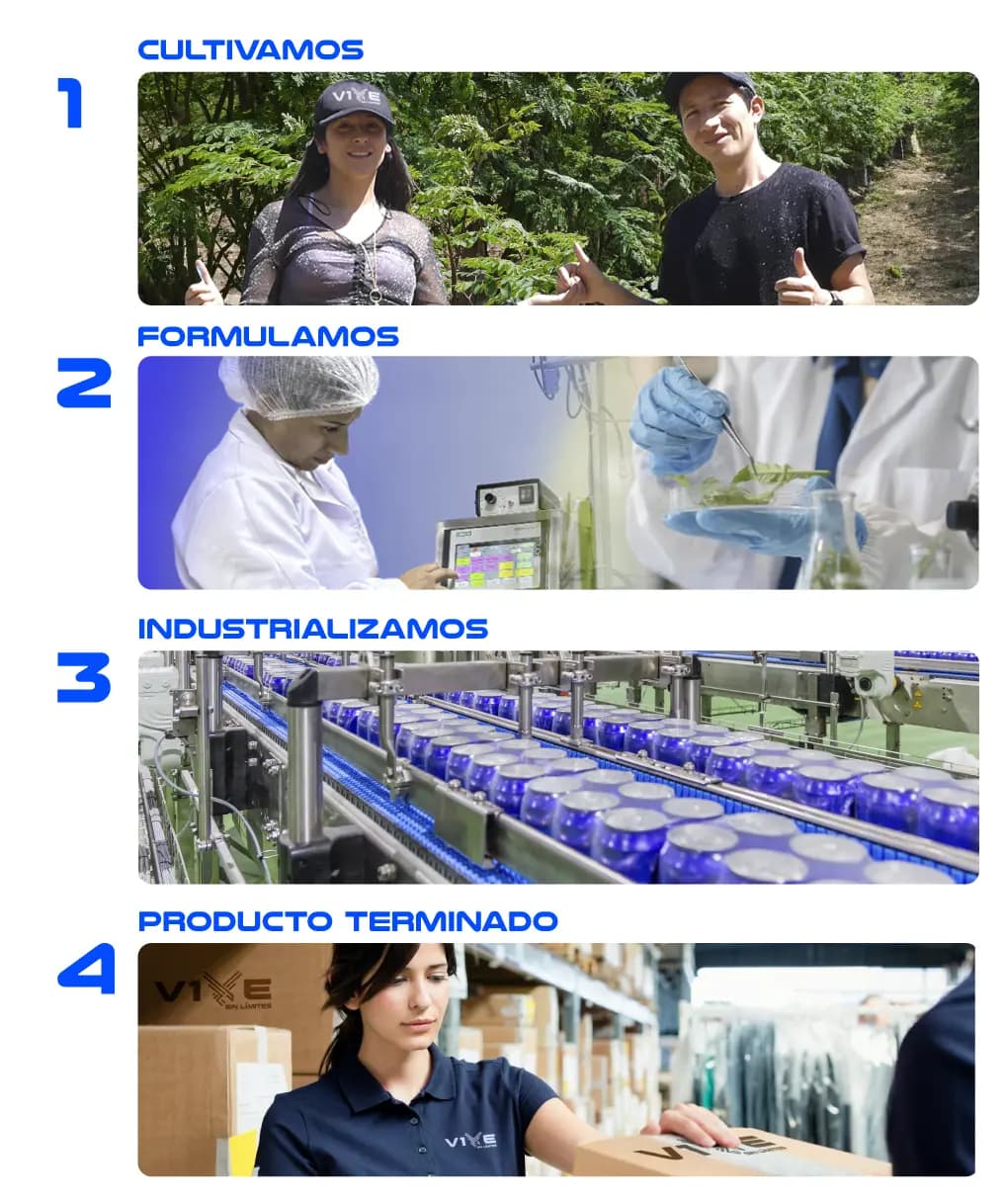 Proceso completo de la cadena de valor